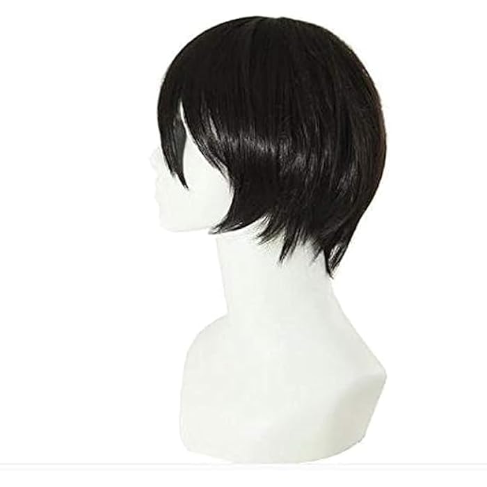 DILLARDS Lover Korean Fashion Cool Style Men Fluffy Short Black Straight Wig Boy - Image 3